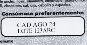 Jetstamp 1025 muestra de impresión de código qr, texto y logotipo